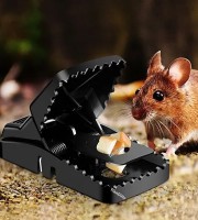 Mouse Trap